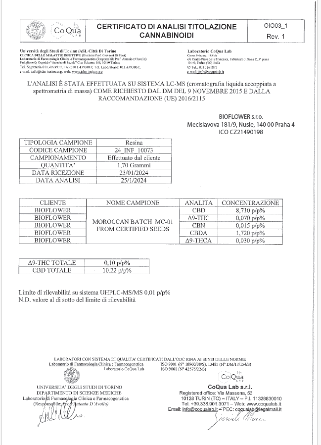 morrocan coa